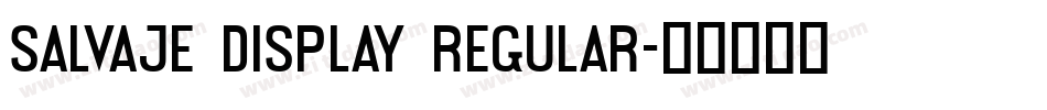 Salvaje Display Regular字体转换